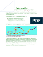 Bioquímica... Primer Tema Tercer Lapso