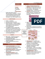 Cartilagem hialina e fibrocartilagem: estrutura e funções