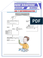 Problemas de Matrices y Determinantes para Quinto de Secundaria