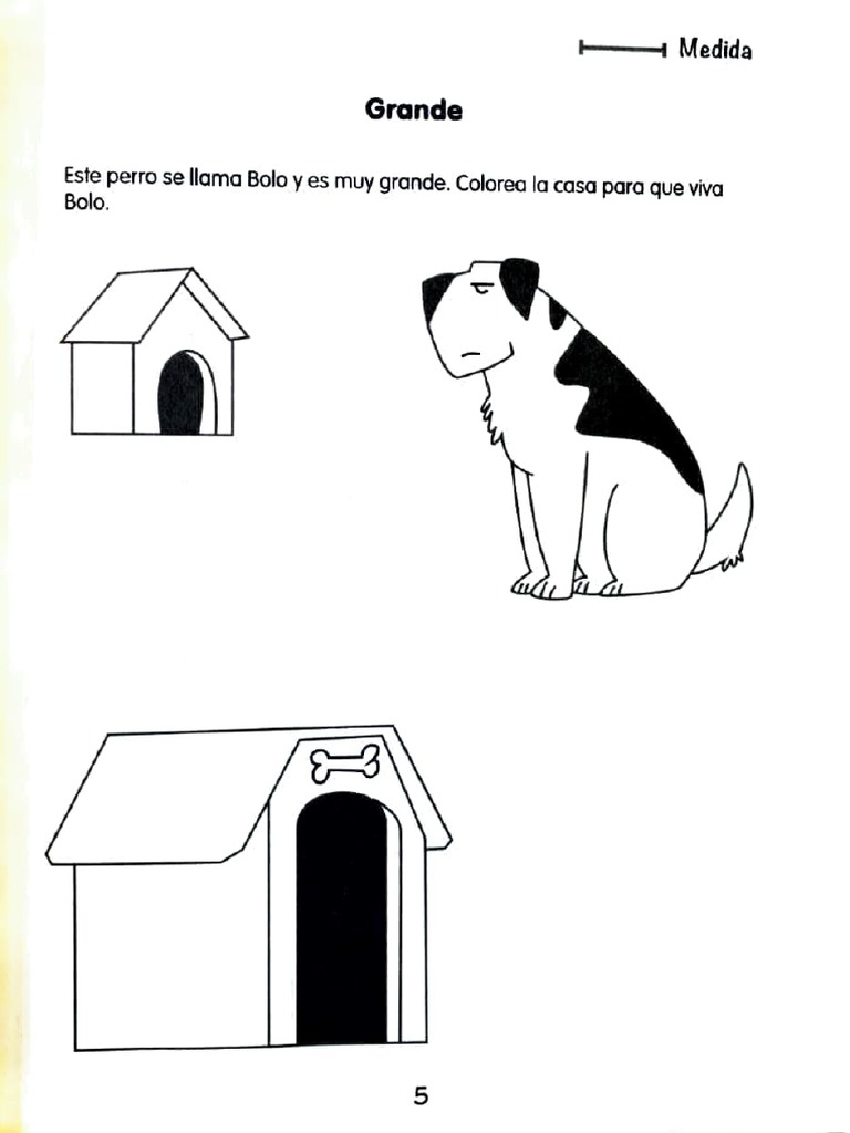 Aziel | PDF