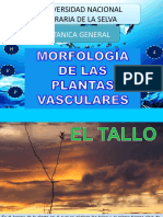 Botanica General Vii