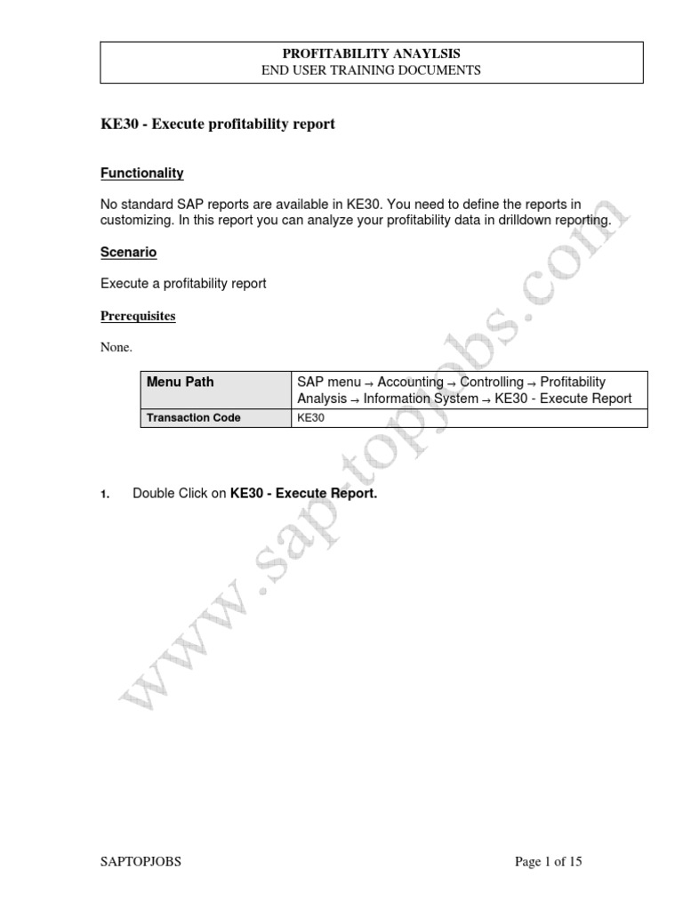 KE30 Execute Profitability Report PDF Expense Cost
