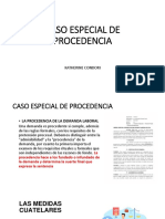 Caso Especial de Procedencia