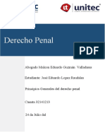 Ensayo 2 Derecho Penal