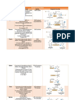 Síntesis de Las Purinas y Pirimidinas