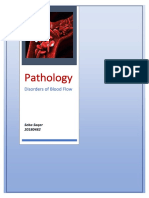 Seba Saqer 20180482 Pathology