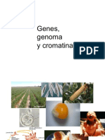 Genes, genoma y organización cromosómica