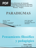 Paradigmas Deivys Meltz