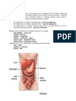 Anatomija - Aparatus Digestorius