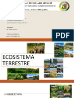 Dias Positivas Ecosistema - Terrestre