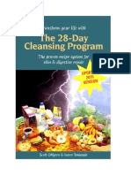 28 Days Cleansing Program (2015)