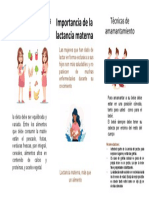 Importancia de La Lactancia Materna PDF
