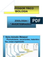 Zoologia1[1].1