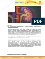 Guía 03 Anatomía - Biología