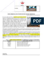 MA465 - S06 - S17 - CS06 - Caso 5 - Crisis Ambiental SJL - Alumnos