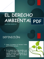 El Derecho Ambiental