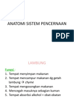 Anatomi Sistem Pencernaan S1-2