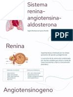 Sistema Renina - Angiotensina - Aldosterona