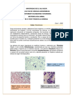 Orden Rickettsiales: bacterias intracelulares obligadas zoonóticas de importancia médica y veterinaria