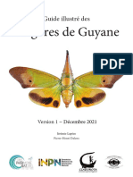 Catalogo Fulgores - de - Guyane