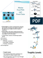 Marine Food Webs and Nutrient Cycling