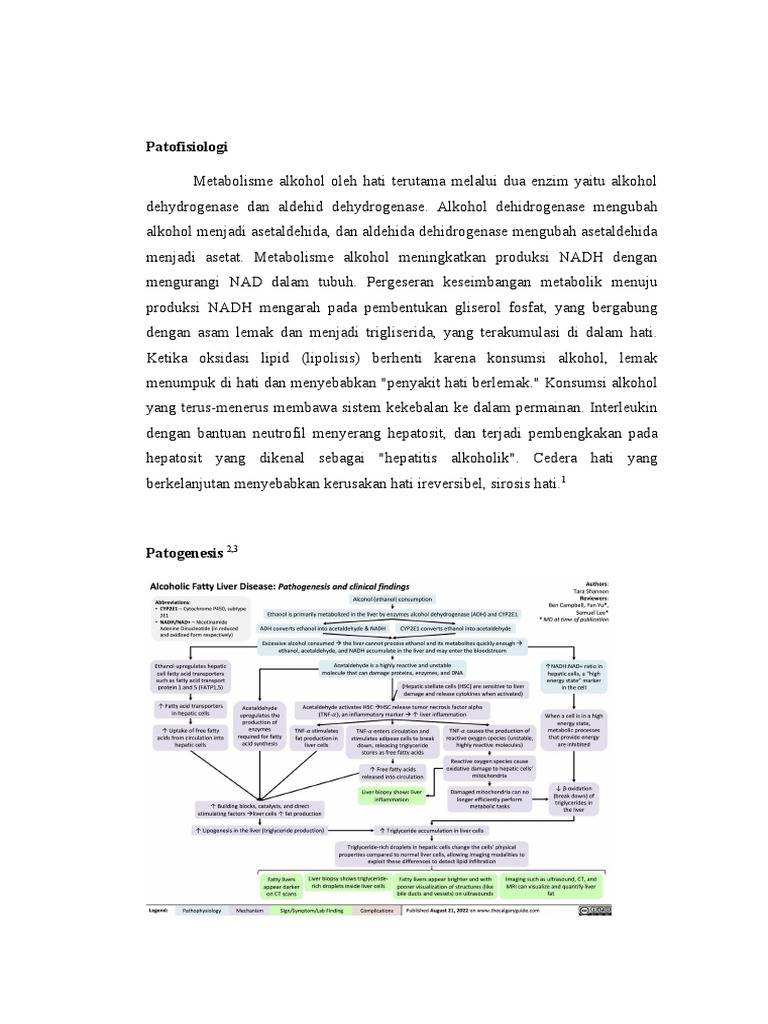 Patofisiologi Dan Patogenesis | PDF