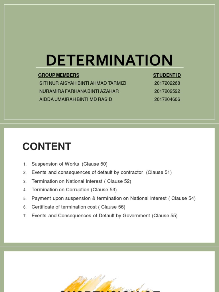 5 Determination PDF Cost Justice