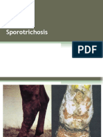 Abdelfattah Monged Selim - Sporotrichosis