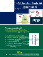FTR Notes - Molecular Basis of Inheritance