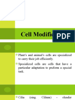 1 Cell Modifications