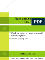 1 Plant and Animal Cells