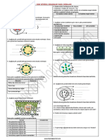 Sinif Bi̇tki̇sel Organlar Yazılı Soruları