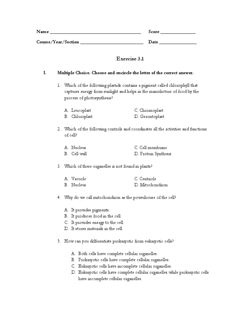 Cell Structure and Function Exercises | PDF | Cell (Biology) | Eukaryotes