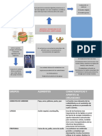 Mapa Conceptual