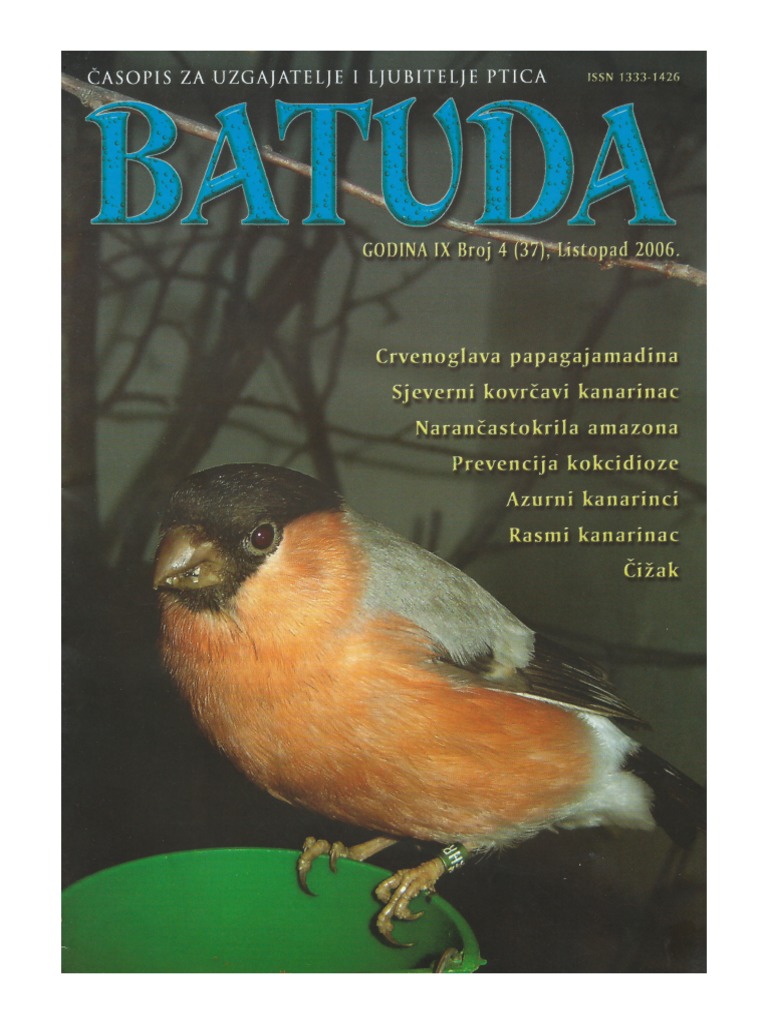 Batuda IX Broj 4 | PDF