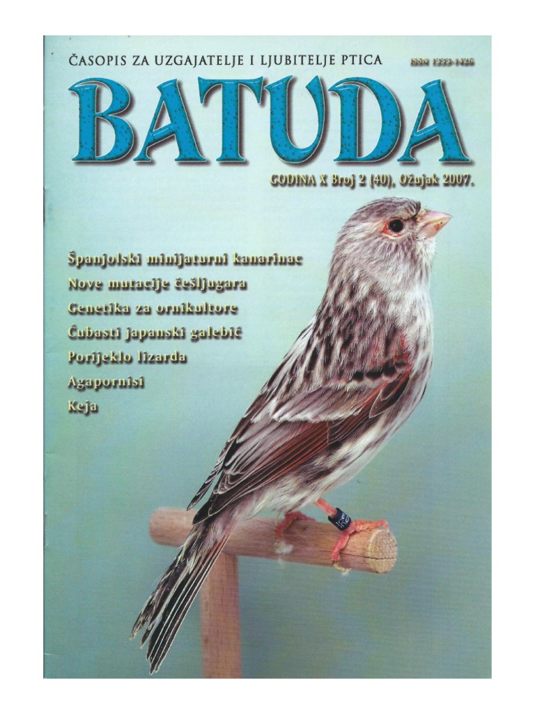 Batuda X Broj 2 | PDF