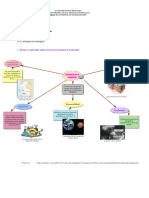 Principios de La Geografía PDF