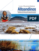 Humedales Altoandinos