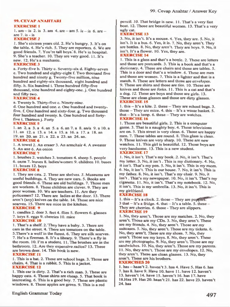english-grammar-today-tc3bcrkc3a7e-ac3a7c4b1klamalc4b1-pdf
