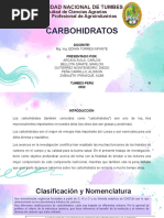 CARBOHIDRATOS