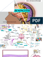 Meningitis Docencia