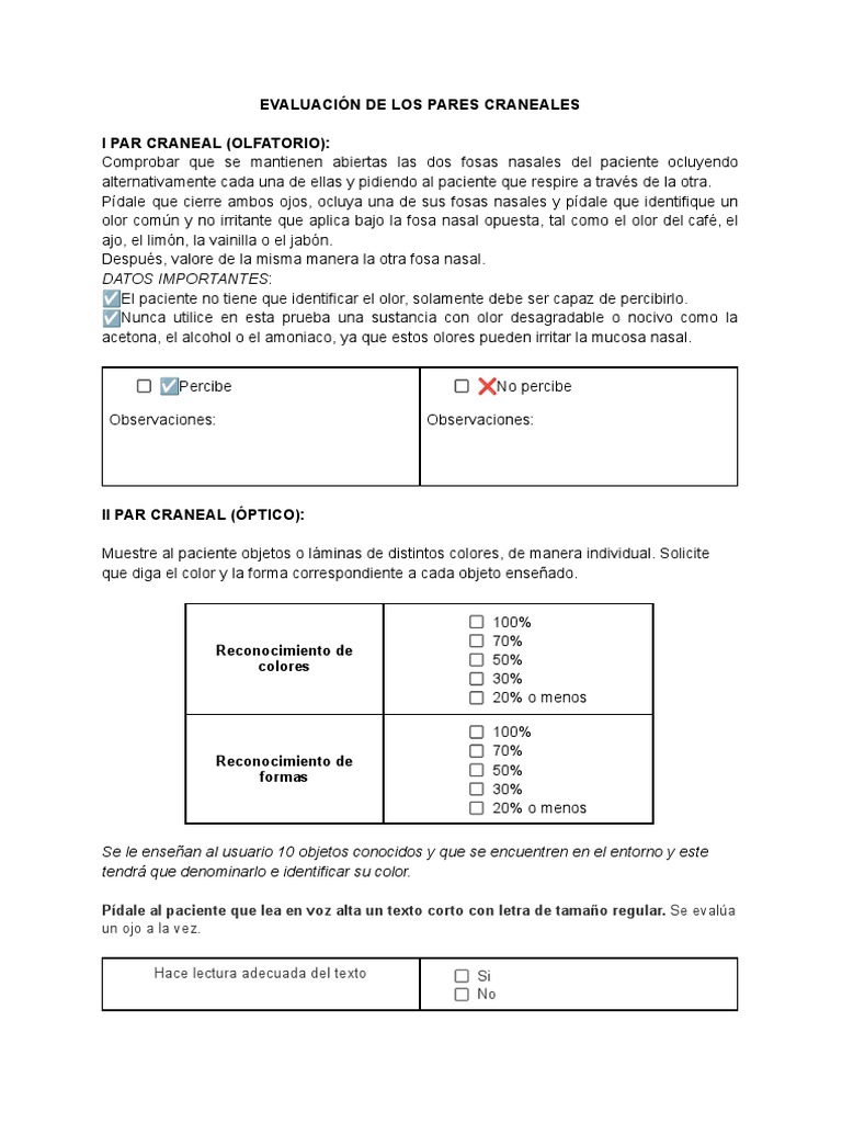 Evaluación De Pares Craneales Descargar Gratis Pdf Nervio Vago
