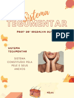 PDF Aula 4 Sistema Tegumentar