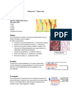 Inflamación y reparación: procesos clave