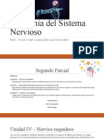Anatomía Del Sistema Nervioso - Recursamiento - 2oparcial - PT 1