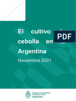 Cultivo de cebolla Argentina