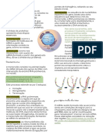 Síntese de proteínas: transcrição e tradução