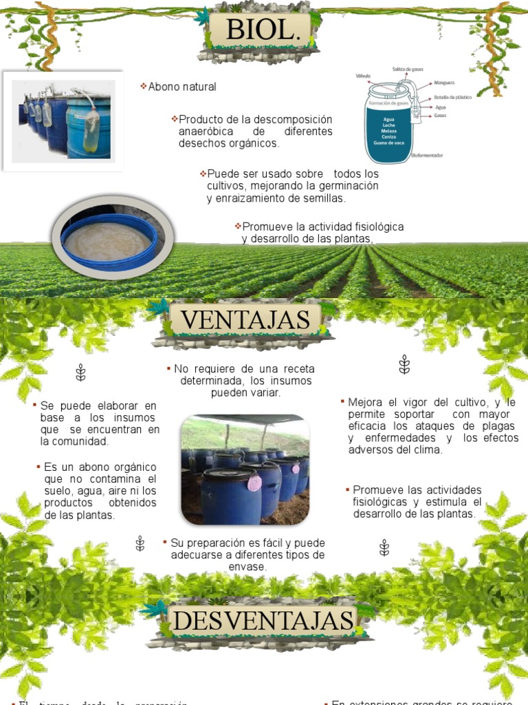 Ventajas y desventajas del biol | PDF | Agricultura ecológica ...