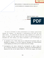 Adaptaciones del maíz a la deficiencia de oxígeno en el suelo