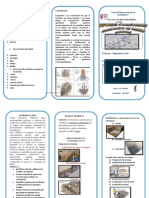 Triptico de Ingenieria Civil